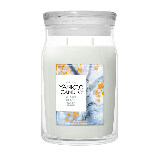 Yankee Candle Silver Birch Grande Tuttocasa Domodossola