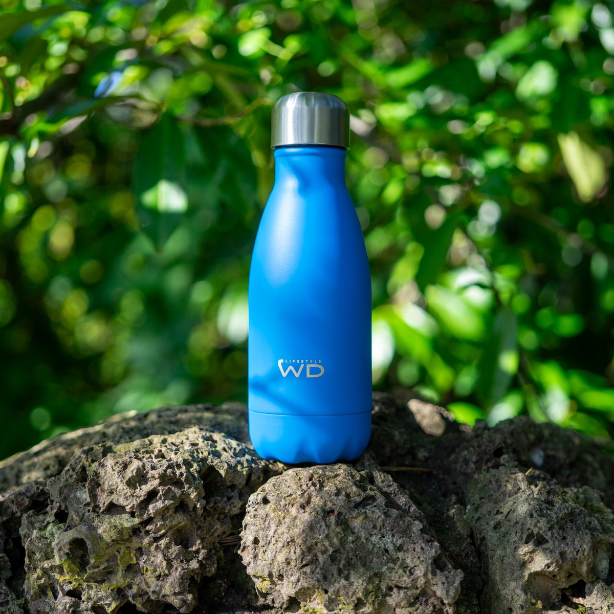 WD Lifestyle Bottiglia Termica Blu uso outdoor Tuttocasa Domodossola